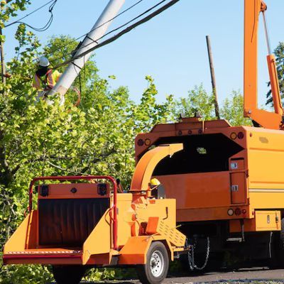 Tree Care