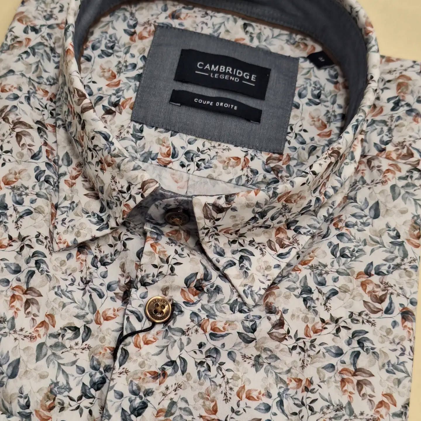 chemise Cambridge  ML