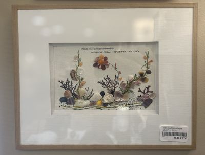 TABLEAU "ARCHIPEL DE MOLENE" N°457