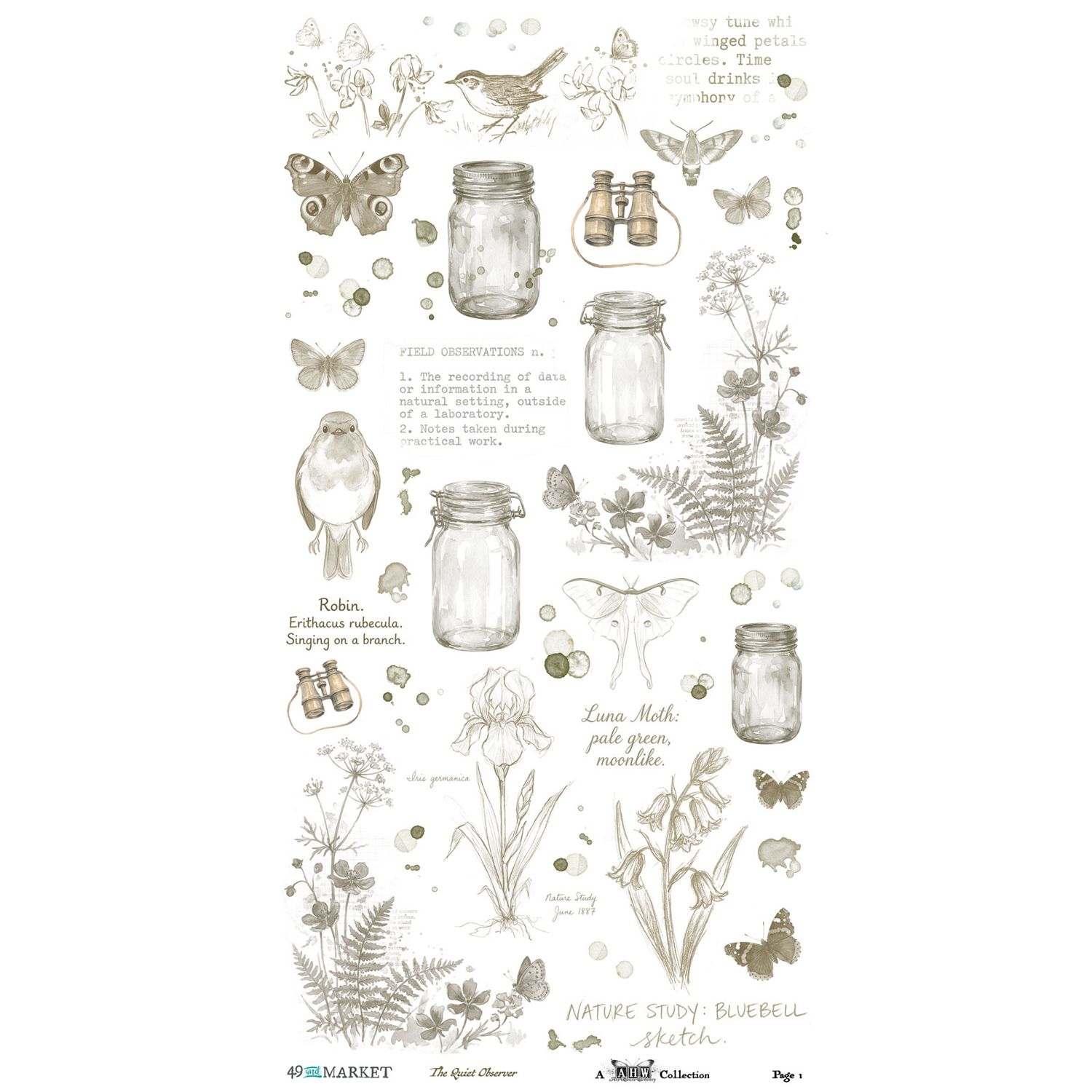 49 &amp; Market - An Art House Whimsy Collection - The Quiet Observer - Rub On Transfers - Essentials - 6" x 12" - TQO37173 - 2 Sheets