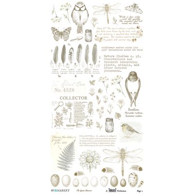 49 &amp; Market - An Art House Whimsy Collection - The Quiet Observer - Rub On Transfers - 6" x 12" - TQO37173 - 2 Sheets