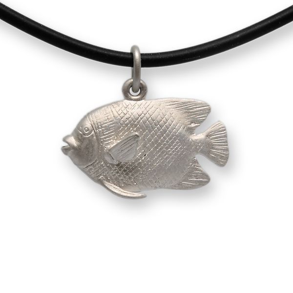 Kaiserfisch runde Flossen