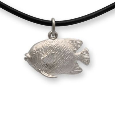 Pez Ángel – aletas redondeadas Pez Ángel – aletas redondeadas