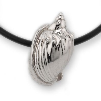 Helmschnecke Helmschnecke