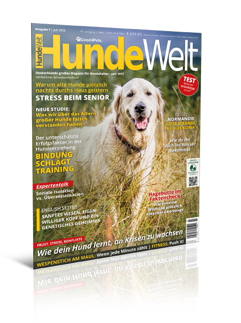 HundeWelt 07.2026 (Digital, Einzelheft) HundeWelt 07.2026 (Digital, Einzelheft)