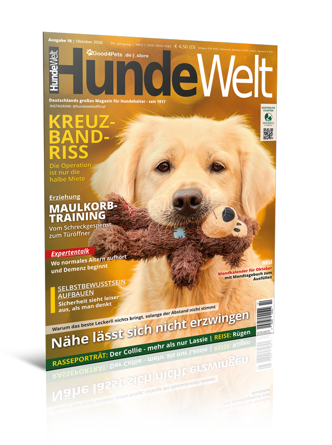 HundeWelt 10.2026 (Print, Einzelheft)