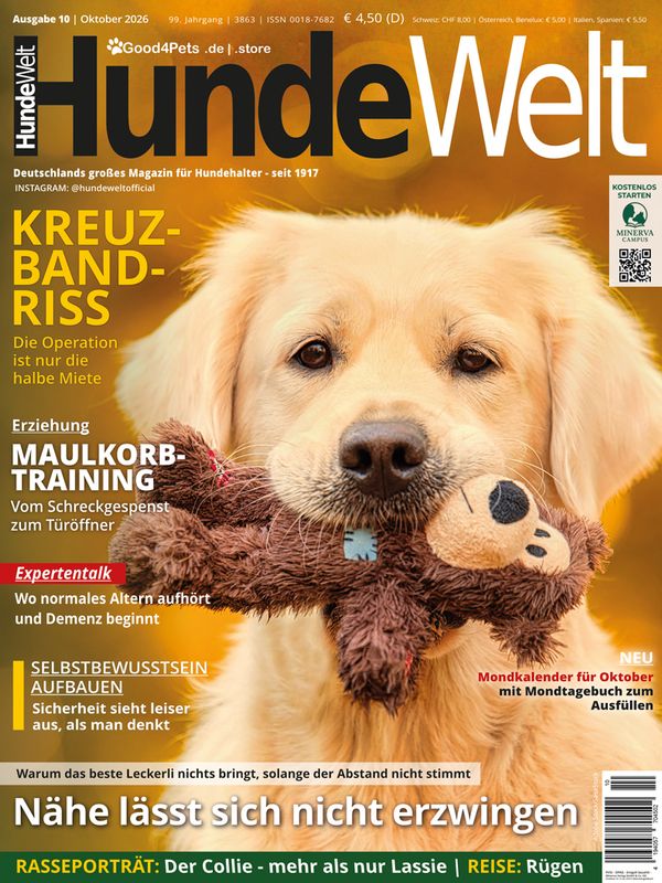 HundeWelt 10.2026 (Print, Einzelheft)