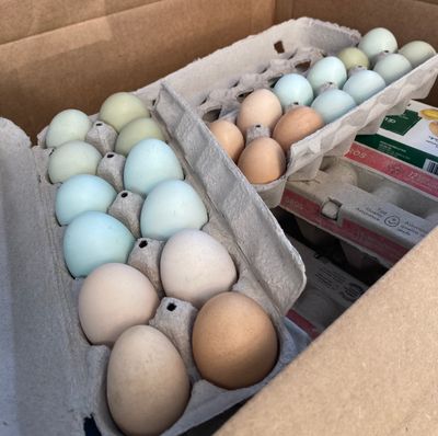 Farm Fresh Eggs