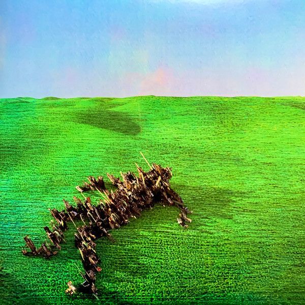 Squid – Bright Green Field
