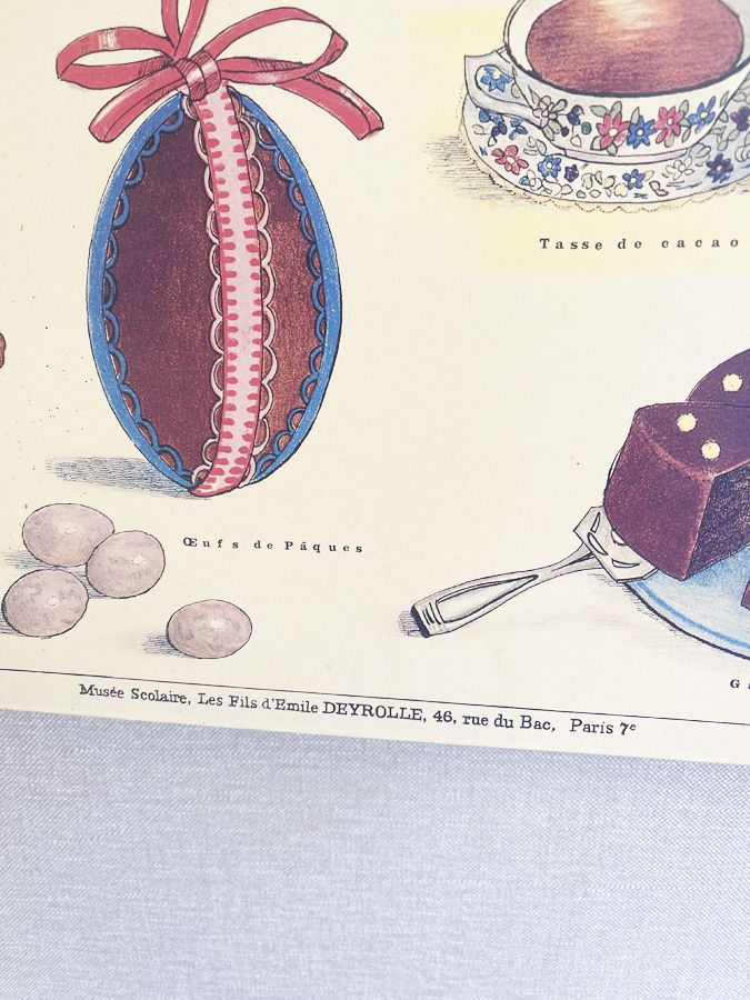 Affiche pédagogique ancienne Deyrolle “Le Cacao”