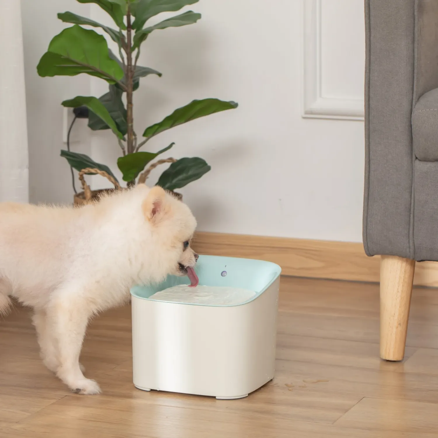 3L Motion Sensor Pet Water Fountain with Filter &amp; LED - White