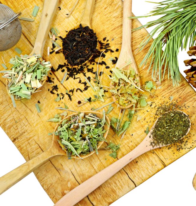 Sister's Spring Detox