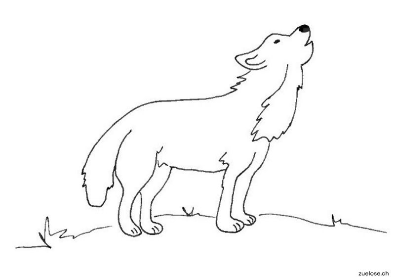 Ausmalbild Wolf