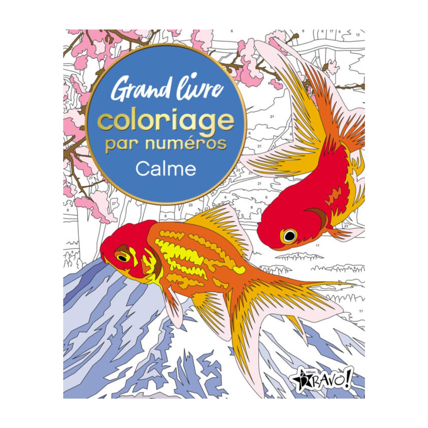 Grand livre de coloriage par numéros - Calme - Livre - David Woodroffe