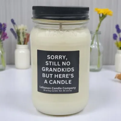 Sorry Still No Grandkids Funny Candle - Sun Washed Citrus