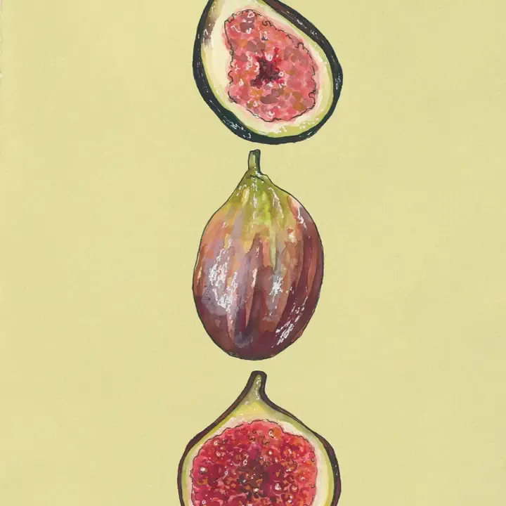 Figs Art Print 8x10
