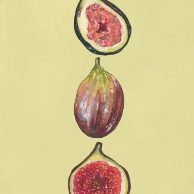 Figs Art Print 8x10
