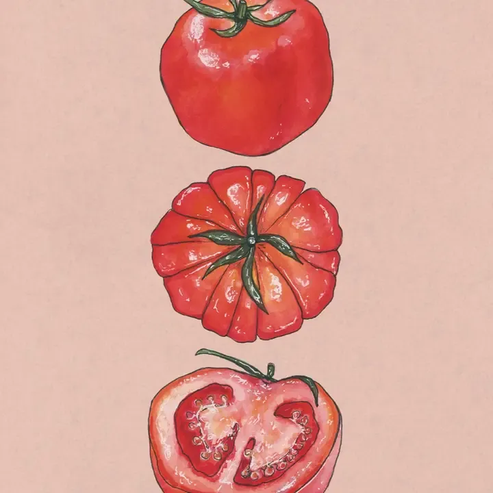 Tomato Art Print - 8x10