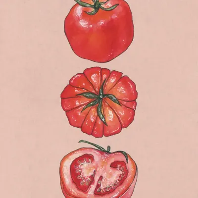 Tomato Art Print - 8x10