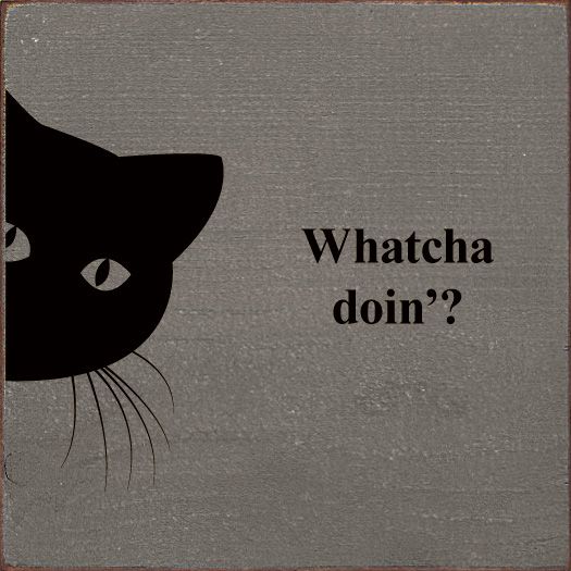 Whatcha doin'? (peeking cat) Wood Sign - Old Anchor Gray