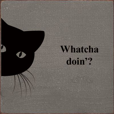 Whatcha doin'? (peeking cat) Wood Sign - Old Anchor Gray