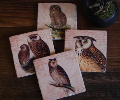 Keepers Of The Forest Stone Coaster