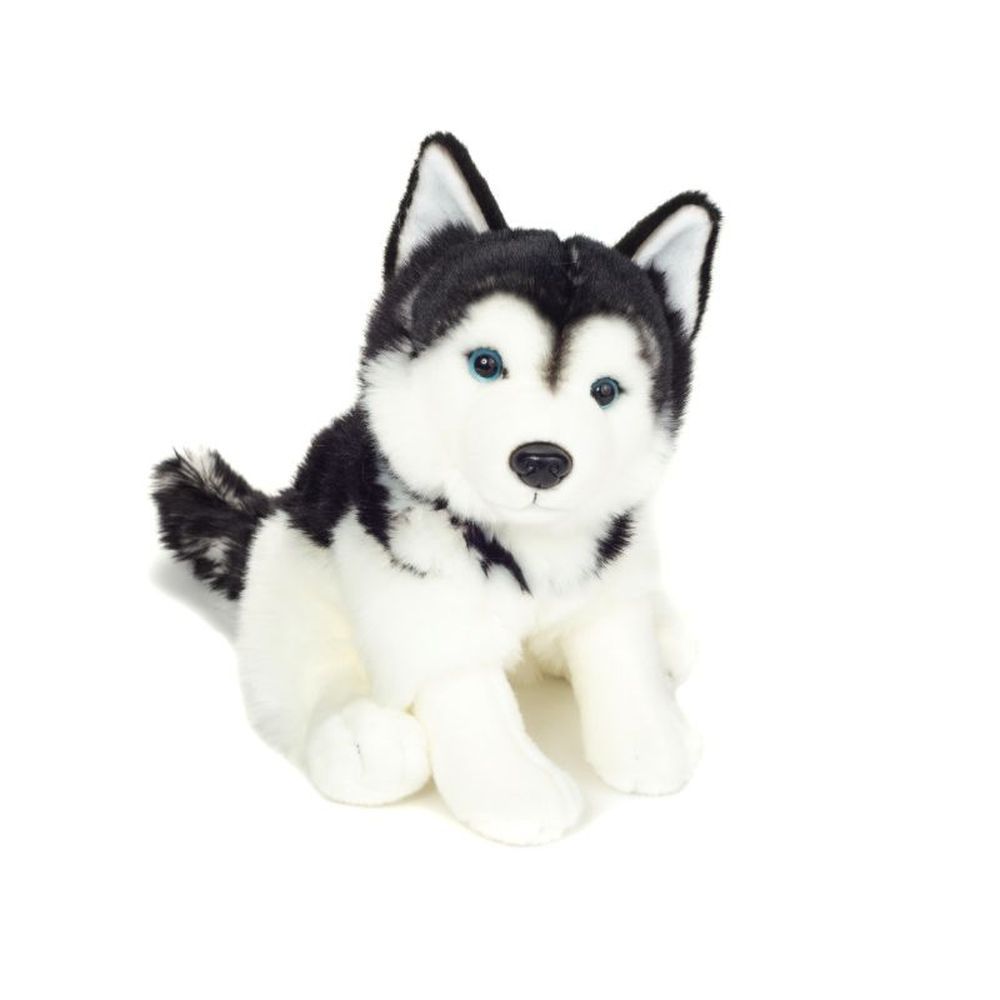 Hund Husky sitzend - Hermann Teddy