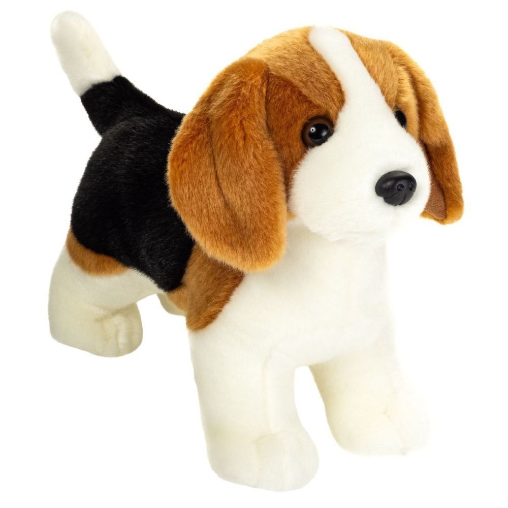 Hund Beagle stehend - Hermann Teddy Hund Beagle stehend - Hermann Teddy