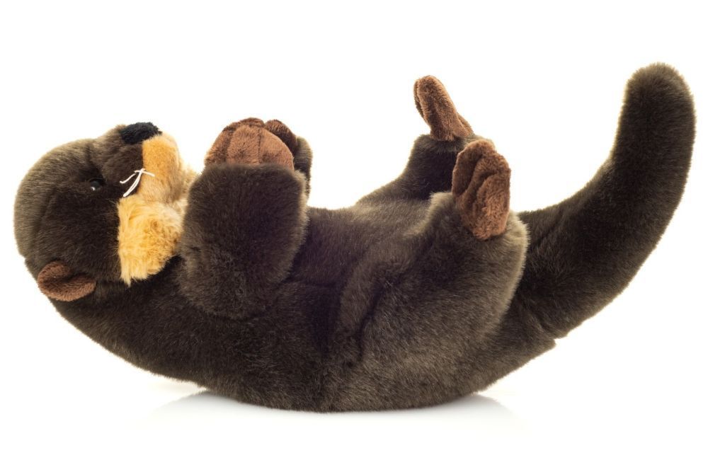 Otter - Hermann Teddy