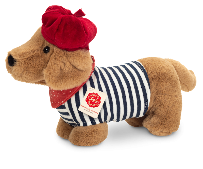 Hund Dackel Claude - Hermann Teddy