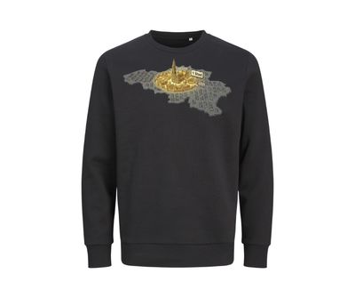 ANTWERPEN en al de rest is PARKING - TRUI