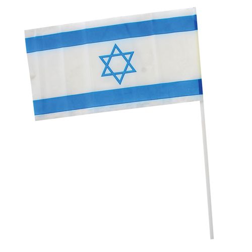 Bandera de Israel con palito 21*14 CM