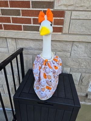 Goose clothes and accessories 23"