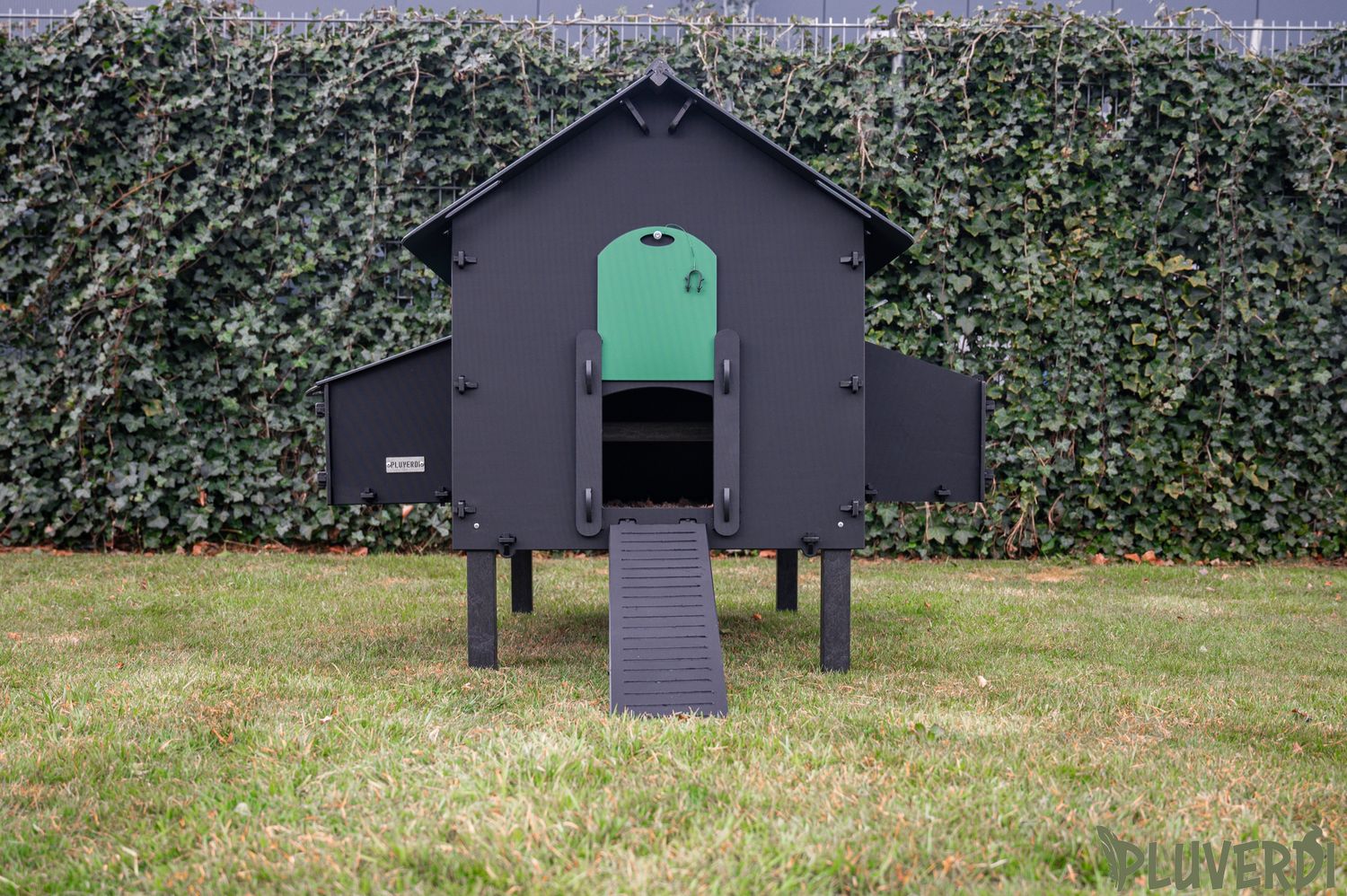 Pluverdi kippenhok Paris (8-16 kippen)