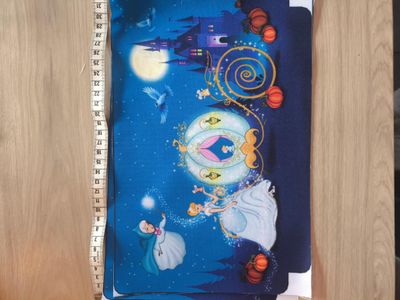 Coupon trousse Cendrillon