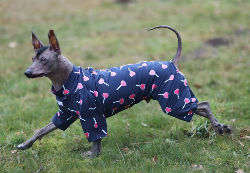 Overall "Lollipop" für Rüde und Hündin