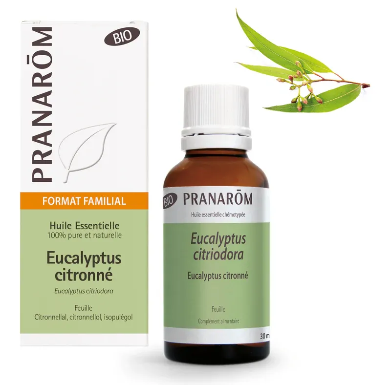 Huile Essentielle Eucalyptus Citronné BIO 30ml - Pranarôm