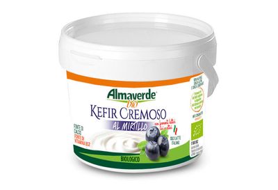 KEFIR CREMOSO AL MIRTILLO BIO 150GR KEFIR CREMOSO AL MIRTILLO BIO 150GR