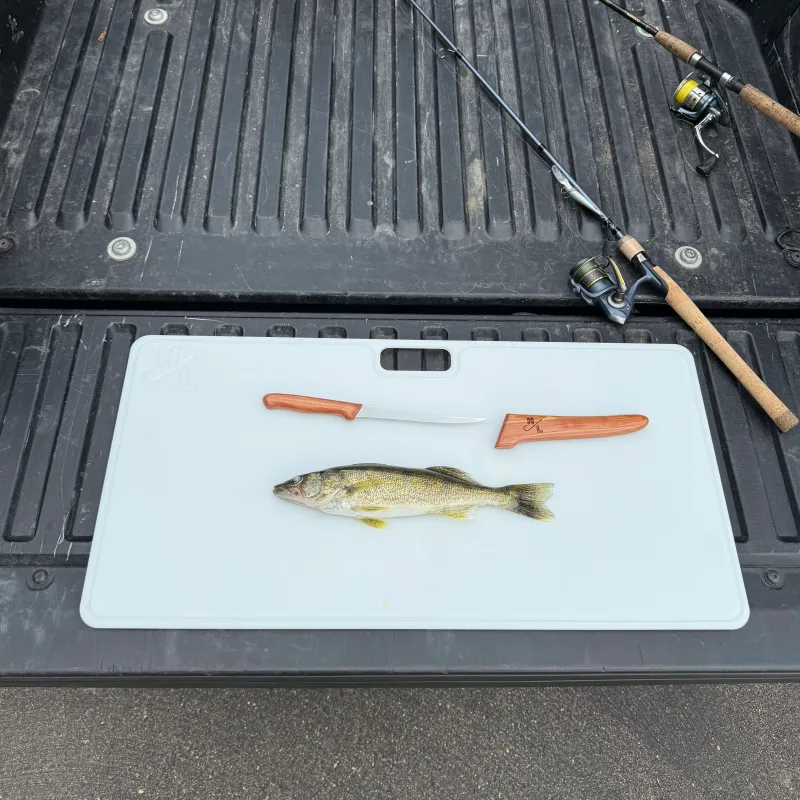 16”x32” BBQ Cutting Board 16”x32” BBQ Cutting Board
