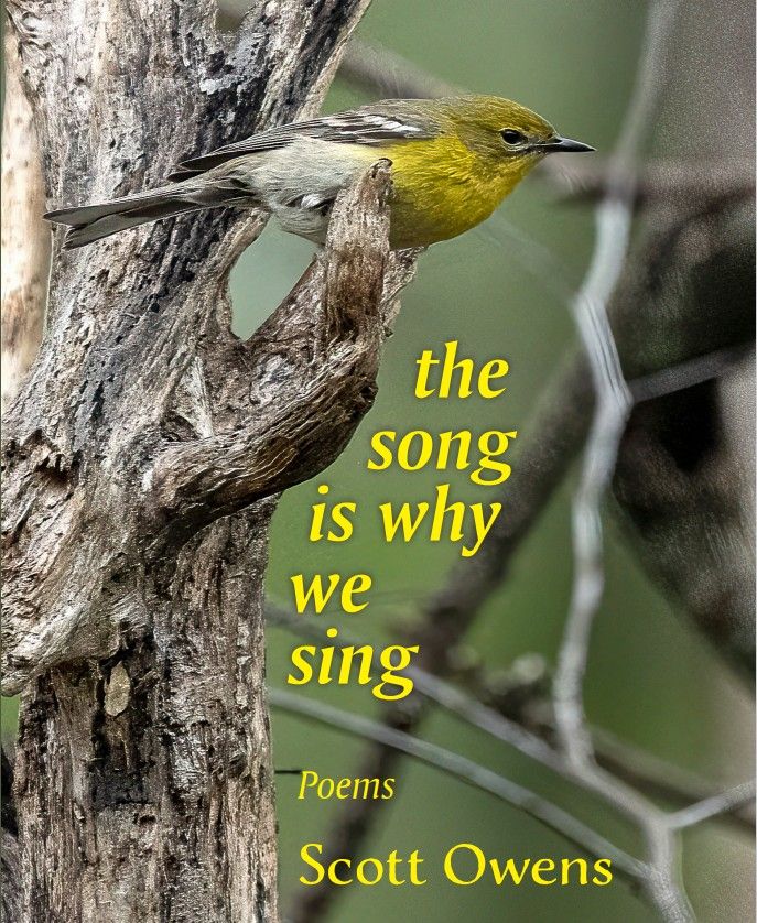 The Song is Why We Sing