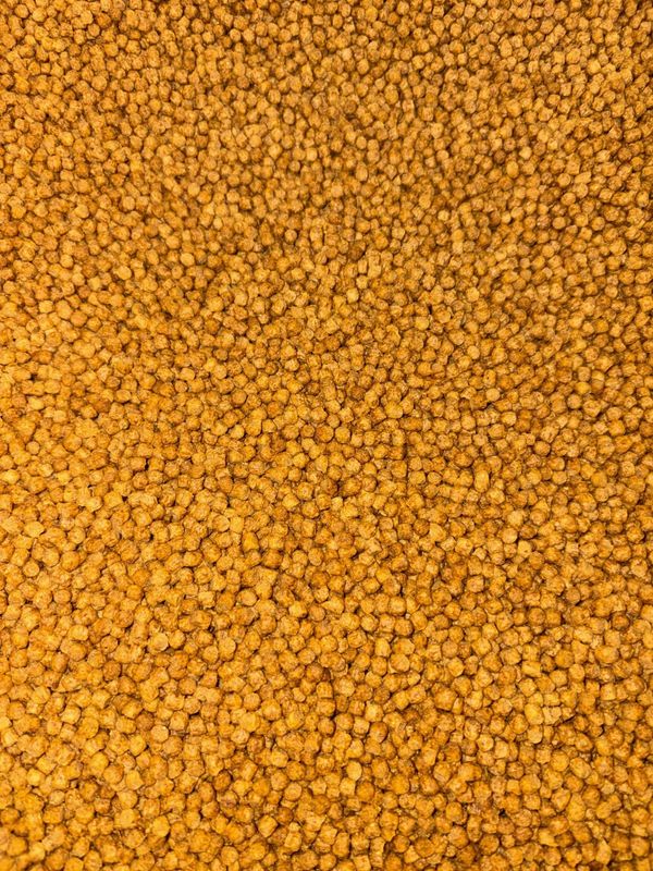 Skretting Expander Floating Pellets