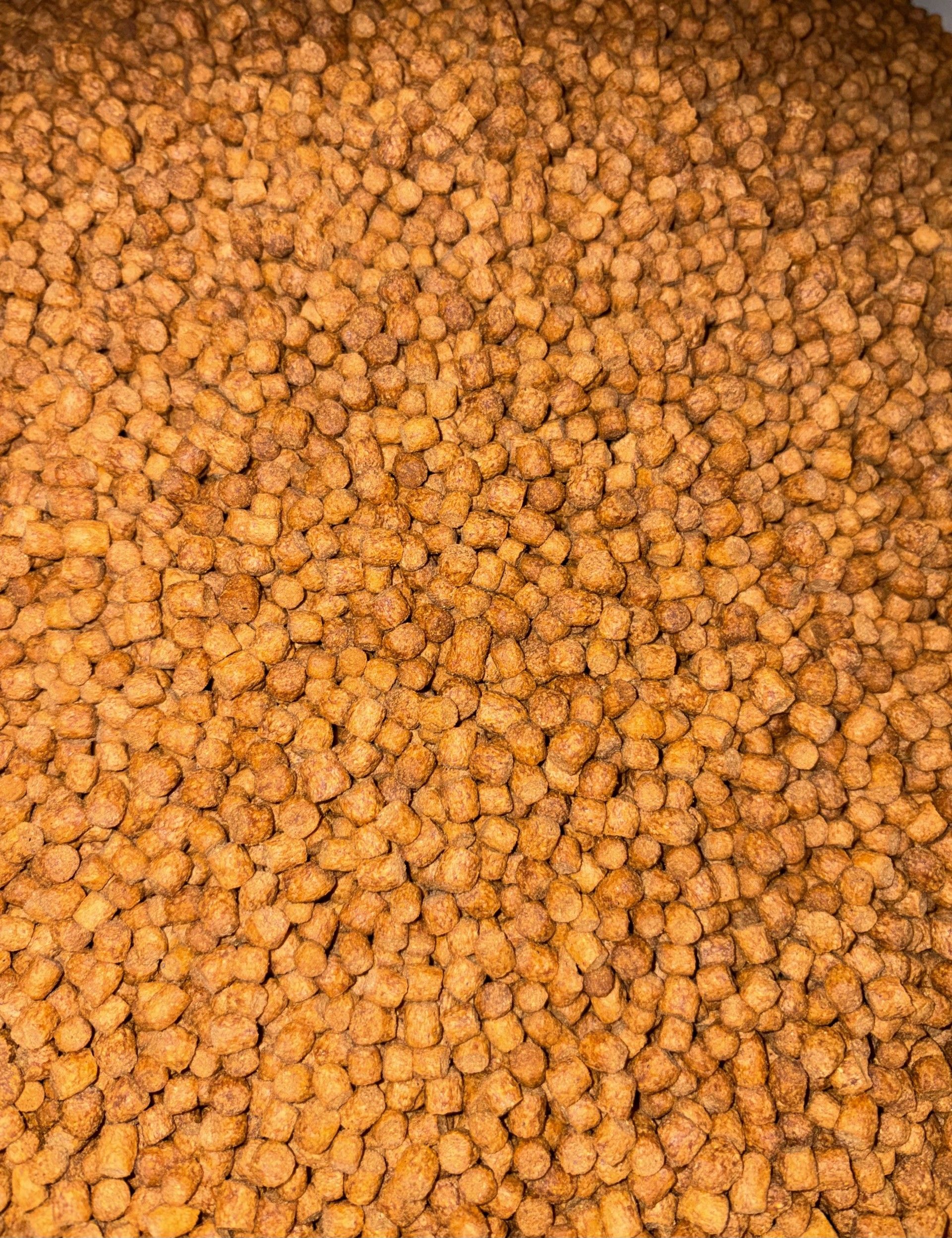 Skretting Expander Floating Pellets