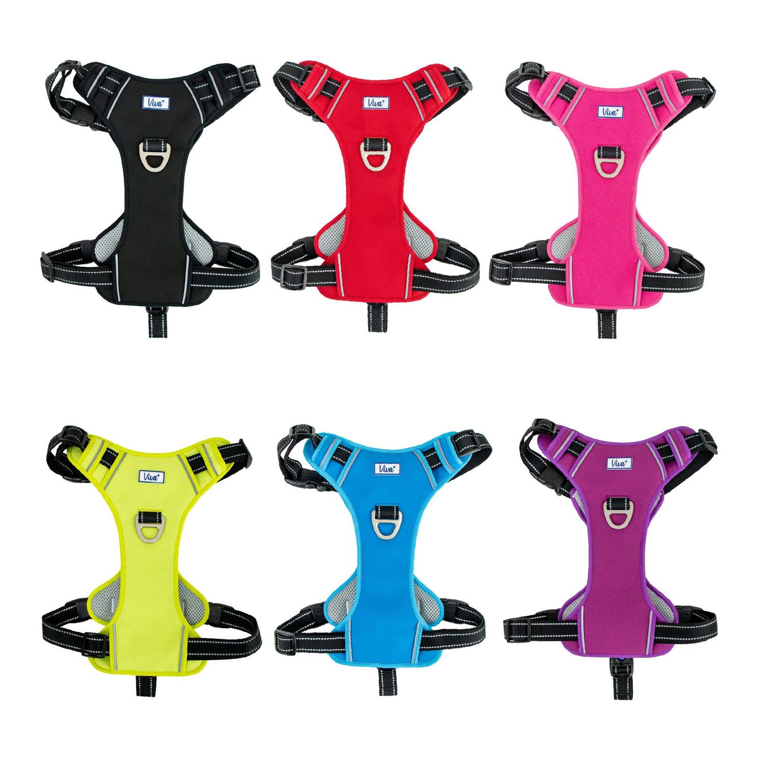 Viva Exercise & Travel Harness