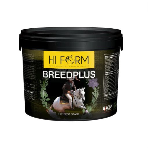 Hi Form BreedPlus Breeding, Mare, Foal & Young Horse Supplement - 1 kg Hi Form BreedPlus Breeding, Mare, Foal & Young Horse Supplement - 1 kg