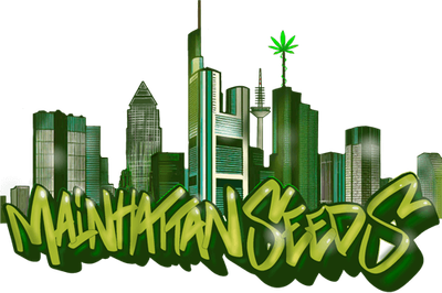 Mainhattan Seeds