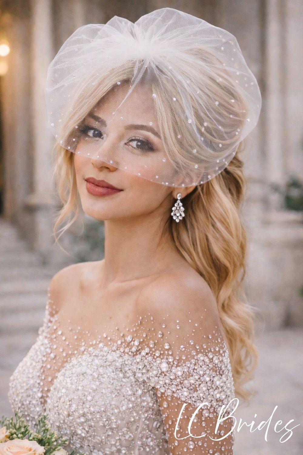 Short Wedding Veil Sparkling with Crystal Clusters Birdcage