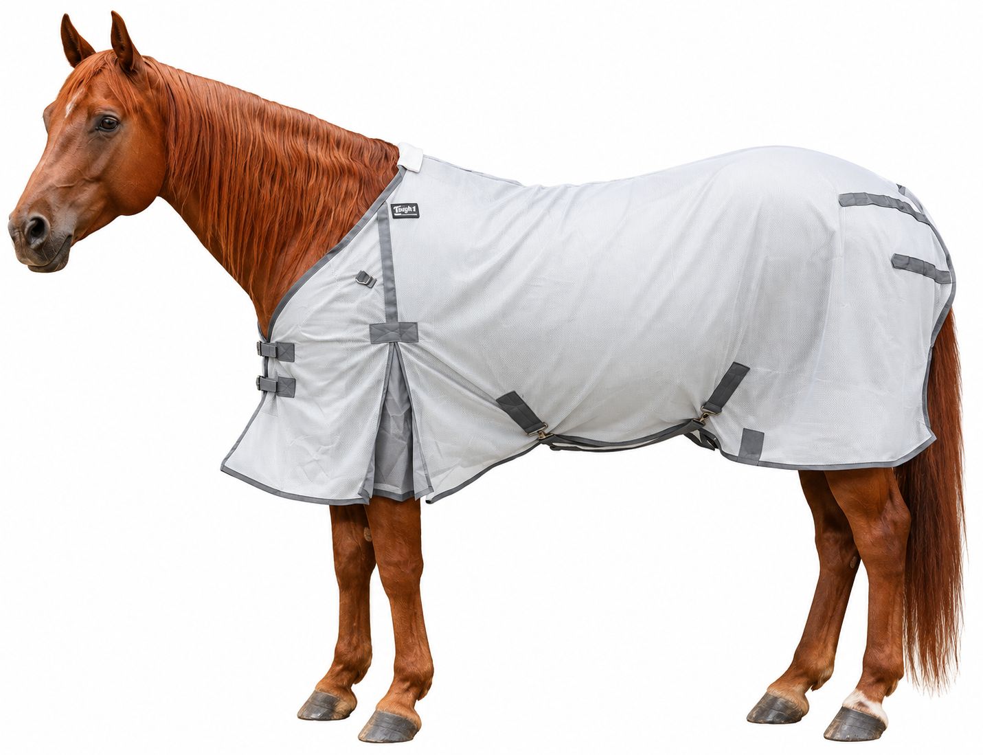 Econo Fly Sheet  FSE, Fly Sheets Option 2: 74/76