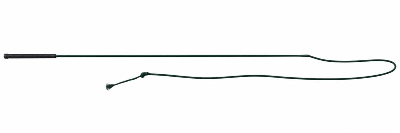 Lunge Whip