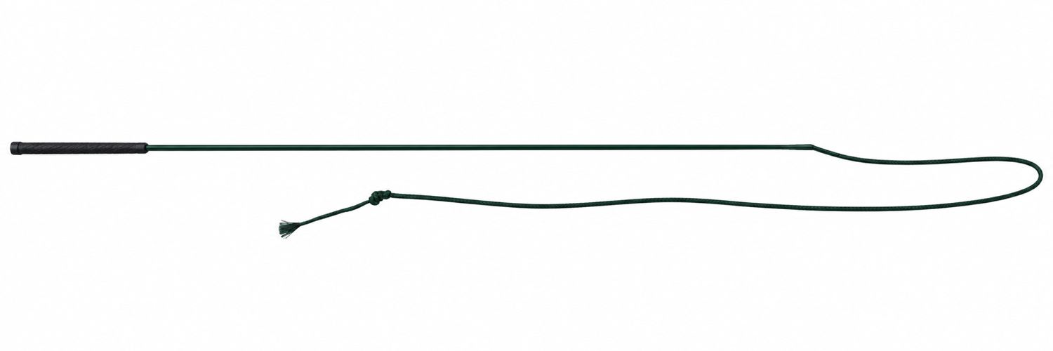 Lunge Whip, name: Dk Green