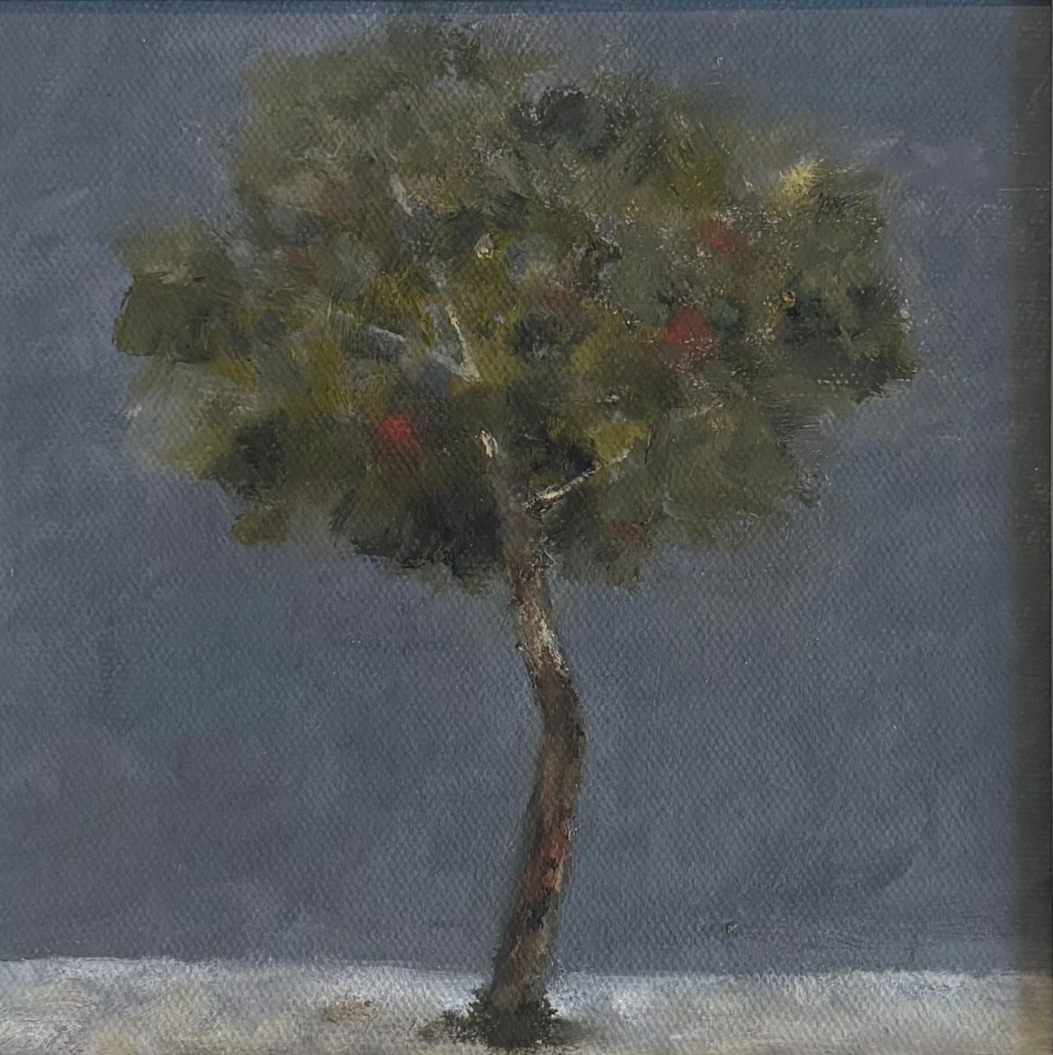 Apple Tree